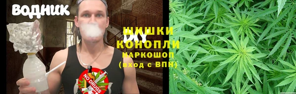 мяу мяу мука Мегион